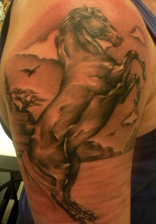 Jay Michalak - horse tattoo half sleeve in progress